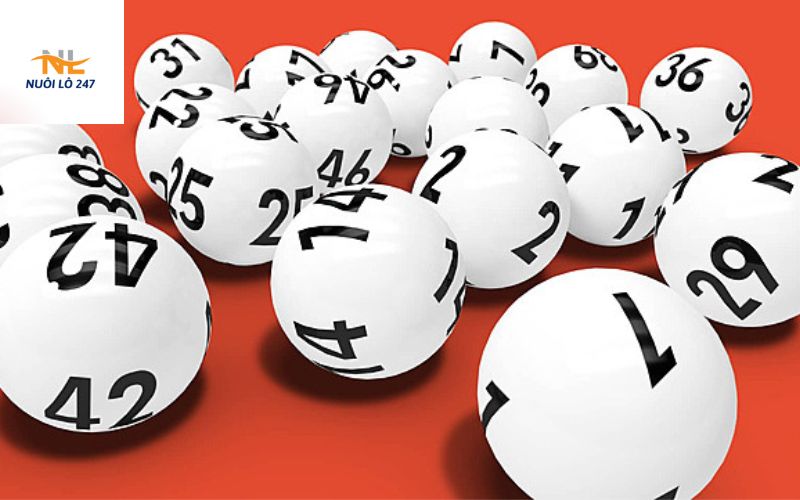 Kinh Nghiệm Chia Sẻ Từ Các Chuyên Gia Soi Cầu Đầy Tâm Huấn
