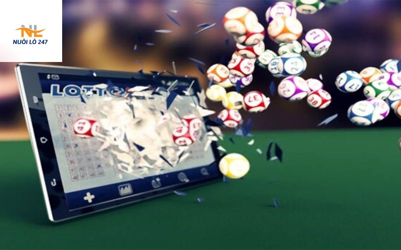 Kinh Nghiệm Quý Giá Từ Các Chuyên Gia Trong Lĩnh Vực