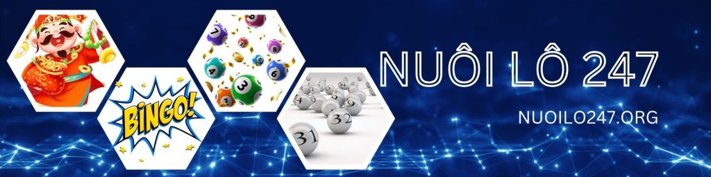 Nuôi Lô 247