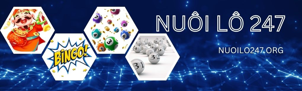 nuoilo247